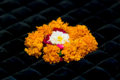 OSA_Annual_Celebrations_2018_TTEP_034_A6504278