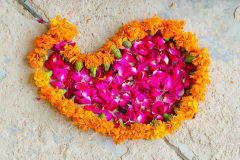 OSA_Annual_Celebrations_2018_TTEP_050_A6504579