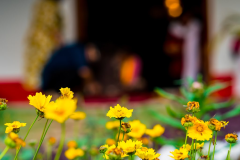 OSA_Annual_Celebrations_2018_TTEP_096_A6505391