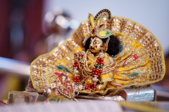 Om_Swami_Ashram_2017_TTEP_006_DSC09181