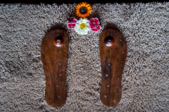 Om_Swami_Ashram_2017_TTEP_008_DSC09211