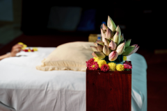 Om_Swami_BL_AMT_TTEP_009_DSC06591