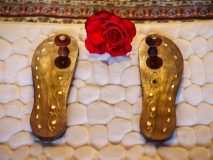 Om_Swami_Gayatri_Sadhana_Nov2017_TTEP_058_DSC08495