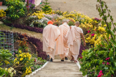 Om_Swami_Gayatri_Sadhana_Nov2017_TTEP_064_DSC08507