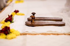 Om_Swami_Gayatri_Sadhana_Nov2017_TTEP_122_DSC08824