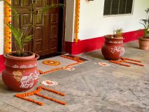 Guru_poornima_TTEP_001_IMG_5580-2-scaled