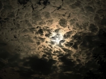 Guru_poornima_TTEP_123_IMG_5776-scaled