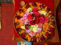 SBA_TTEP_57_IMG_9557-scaled