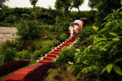 Shot at , ,  on July 27 2018. Anand Kumar B, TheThirdEye-Photography.com