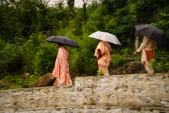 Shot at , ,  on July 27 2018. Anand Kumar B, TheThirdEye-Photography.com