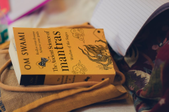 Om_Swami_Meditation_Camp_Blore_TTEP_2018_032_A6500407