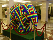 Om_Swami_Meditation_Camp_Blore_TTEP_2018_052_A7005223