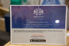 MeditationCampSydney-13