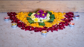 Shot at Bangalore, ,  on January 05 2019. Anand Kumar B, TheThirdEye-Photography.com