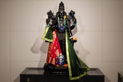 Om-Swami-ji_TTEP_003__A748271-scaled