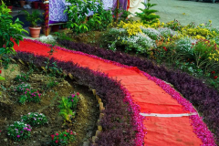 Om_Swami_Bday_TTEP_072_DSC09202