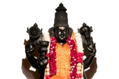 Shot at Bangalore, ,  on November 30 2018. Anand Kumar B, TheThirdEye-Photography.com