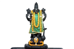 Shot at Bangalore, ,  on December 02 2018. Anand Kumar B, TheThirdEye-Photography.com