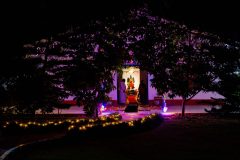 Om_Swami_Bday_042_A745606-scaled